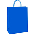 Ditipo Gift paper bag 18 x 8 x 24 cm ECO blue