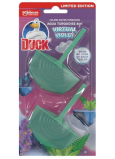 Duck Aqua 4in1 Coloring Virtual duopack WC blok 2 x 36 ml