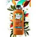 Herbal Essences Smooth Golden Moringa Oil Shampoo with moring oil, for smooth hair and easy combing, without parabens 400 ml