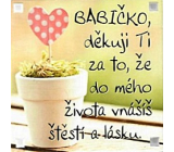 Albi Magnet Babičko, děkuji Ti za to, že do mého života vnášíš štěstí a lásku 6,5 x 6,5 cm