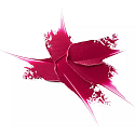 Catrice Shine Bomb Lipstick 080 Scandalous Pink 3,5 g