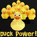 Duck Power Wc Liquid Cleaner 750 ml