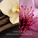 Air Wick Botanica Vanilla and Himalayan Magnolia Scented Candle Glass, Burn Time up to 40 Hours 205 g