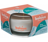 Bolsius True Freshness Fresh Breeze scented candle in glass 80 x 50 mm
