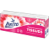 Linteo 3-ply paper handkerchiefs, 10 × 10 pcs