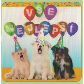 Albi 3D Envelope Greeting Card Dogs Happy Birthday 15.5 x 15.5 cm