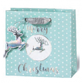 BSB Luxury gift paper bag 23 x 19 x 9 cm Christmas VDT 430 - A5