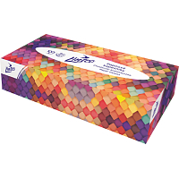 Linteo 2-ply paper handkerchiefs, box of 100 pcs