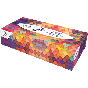 Linteo 2-ply paper handkerchiefs, box of 100 pcs