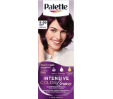 Schwarzkopf Palette Intensive Color Creme hair color 6-99 Intense Purple