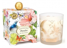 Michel Design Works Paradise Soy handmade scented candle in glass 397 g