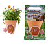 EP Line My Fairy Garden Magic Garden Fairy Flower Pot with Fairy Creative Set, recommended age 4+