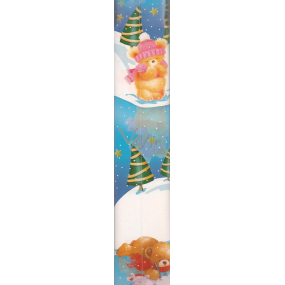 Ditipo Gift wrapping paper 70 x 200 cm Christmas blue Bears 2013903