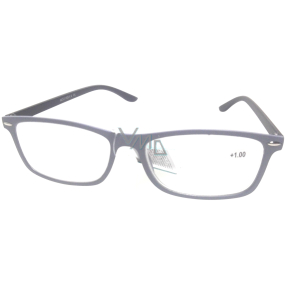 Berkeley Reading glasses +1.0 gray, black sides 1 piece MC2 ER2135