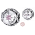 Charm Sterling silver 925 Zodiac sign, cubic zirconia Scorpio, bead for bracelet