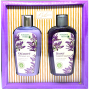 Bohemia Gifts Lavender shower gel 250 ml + hair shampoo 250 ml, cosmetic set