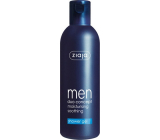 Ziaja Men Duo Concept shower gel 300 ml