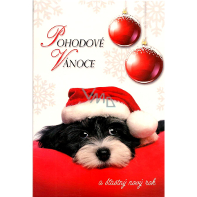 Nekupto Christmas Card Relaxing Christmas Doggy