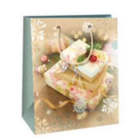 Ditipo Gift paper bag 18 x 10 x 22.7 cm gifts DC 2268918