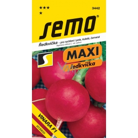 Semo Radish Maxi Vinara F1 hybrid for acceleration and field, round, red 1.5 g