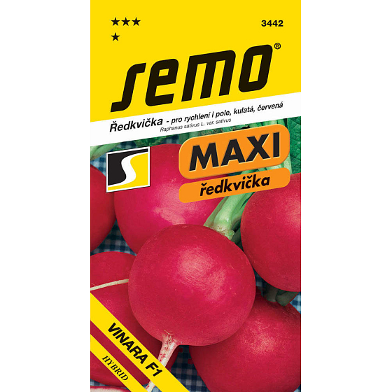 Semo Radish Maxi Vinara F1 hybrid for acceleration and field, round, red 1.5 g