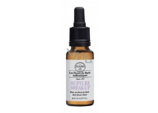 Bio Bachovky Burnout Syndrome Flower Essence 20ml 0061