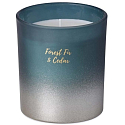 Emocio Forest Fir & Cedar - Fir and cedar scented candle glass with tin lid 80 x 90 mm