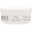 Ziaja Cosmetic Vaseline for all skin types 30 ml