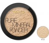 Revers Mineral Pure Compact Powder compact powder 01 .9 g