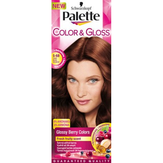 Schwarzkopf Palette Color & Gloss hair color 5 - 68
