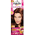 Schwarzkopf Palette Color & Gloss hair color 5 - 68