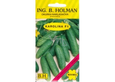 Holman F1 Carolina Cucumber Loader 2.5 g