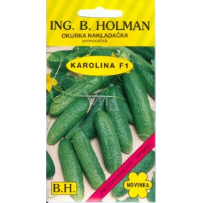 Holman F1 Carolina Cucumber Loader 2.5 g