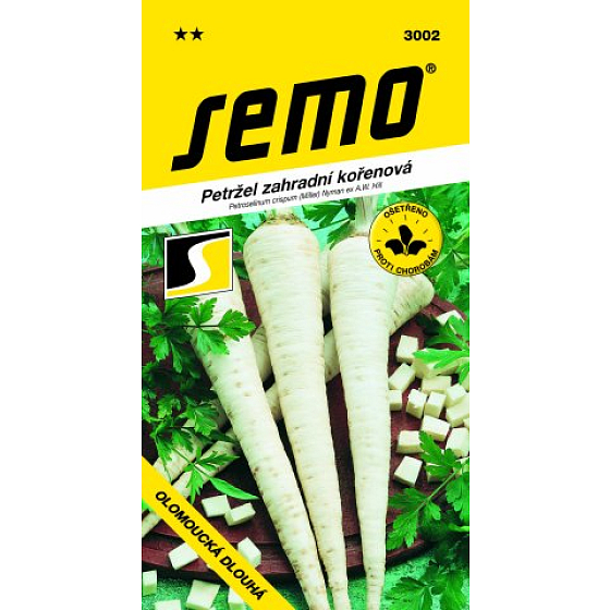 Semo Parsley Garden Root Olomouc Long 3 g