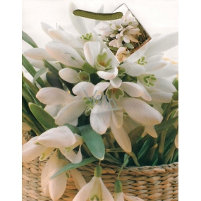 Nekupto Gift paper bag 23 x 18 x 10 cm Snowdrops 1109 02 KFM