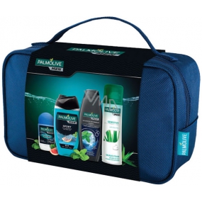 Palmolive Men Sport anti-perspirant roll-on deodorant 50 ml + Sport 3 in 1 shower gel 250 ml + Ivigorating shampoo 350 ml + Sensitive shaving foam 300 ml + case, cosmetic set
