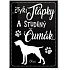 Nekupto Pets magnet Pointer 66 x 90 x 2 mm