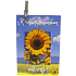 Nekupto Gift Card Happy Birthday! 7 x 5,5 cm 1 piece