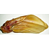 Grand Dried beef ear large supplementary food for dogs 1 piece