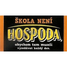 Nekupto Gifts with Humor Metal Sign School is not a Pub 23 x 12 cm