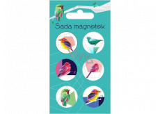 Albi Set of Magnets Birds 6 pieces
