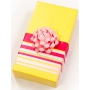 Ditipo Ribbon satin red 4 mx 15 mm