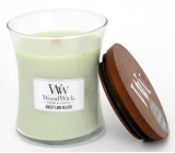 WoodWick Sweet Lime Gelato - Sladká zmrzlina vonná svíčka s dřevěným knotem a víčkem sklo střední 275 g