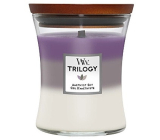 WoodWick Trilogy Amethyst Sky scented candle with wooden wick and lid glass medium 275 g