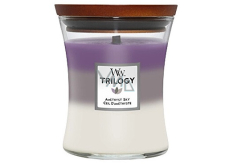 WoodWick Trilogy Amethyst Sky scented candle with wooden wick and lid glass medium 275 g