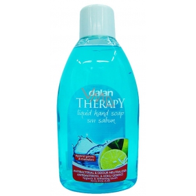 Dalan Therapy Antibacterial & Odor Neutralizer antibacterial liquid soap 750 ml