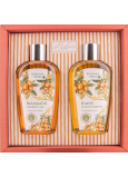 Bohemia Gifts Argan oil shower gel 250 ml + hair shampoo 250 ml, cosmetic set