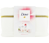 Dove Pink Clay shower gel 250 ml + body scrub 225 ml + hand cream 75 ml + deodorant antiperspirant spray 150 ml + etue