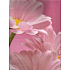 Nekupto Gift paper bag 46 x 33 x 10.5 cm Pink flower 1 piece 774 30 BXL