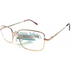 Berkeley Reading glasses +2.5 gold metal MC2 1 piece ER5050